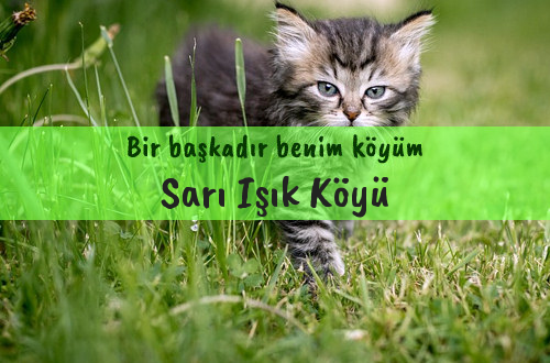 Sarı Işık Köyü